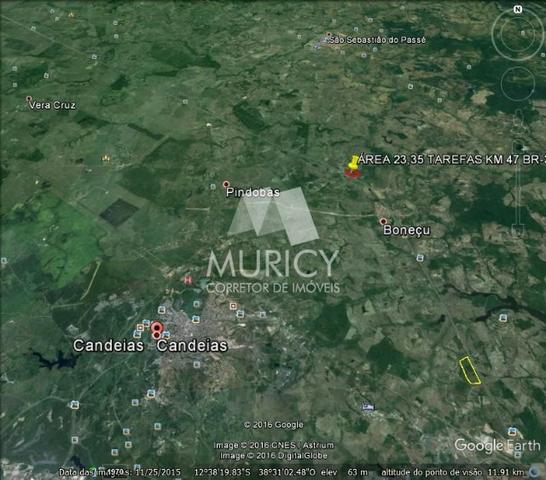 Grande oportunidade, área às margens da BR-324, município de Candeias-BA - Foto 14