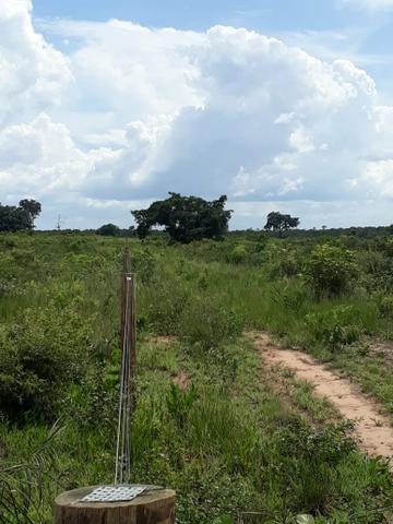 Fazenda de 853 hectares .400 hectares mecanizados . Colinas do Tocantins- TO - Foto 18