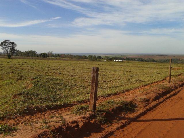 8062 | Chácara à venda em ÁREA RURAL, CRUZEIRO DO SUL - Foto 4
