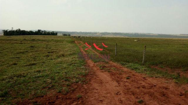 8051 | Fazenda à venda em NÃO INFORMADO, NAVIRAI - Foto 2