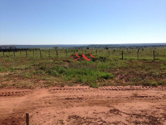 8051 | fazenda à venda em não informado, itiquira - Foto 9