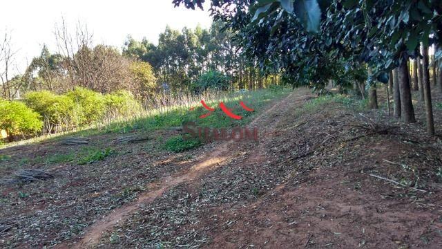 8051 | Sítio à venda em NÃO INFORMADO, IGUARAÇU - Foto 9