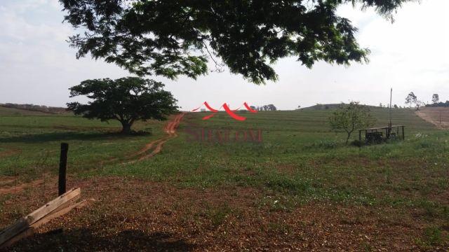 8051 | Sítio à venda em NÃO INFORMADO, SANTO INÁCIO - Foto 6