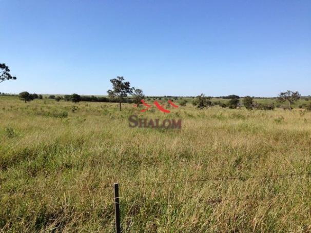 8051 | fazenda à venda em não informado, itiquira - Foto 5