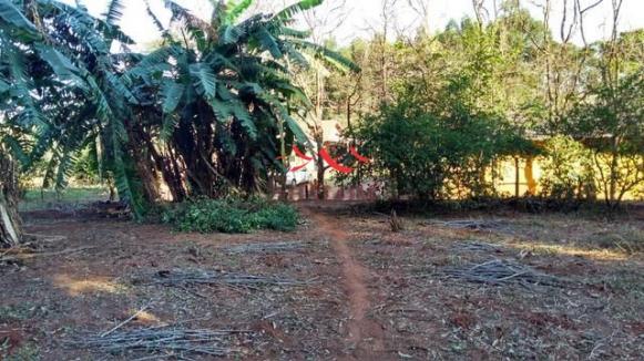 8051 | Sítio à venda em NÃO INFORMADO, IGUARAÇU - Foto 3