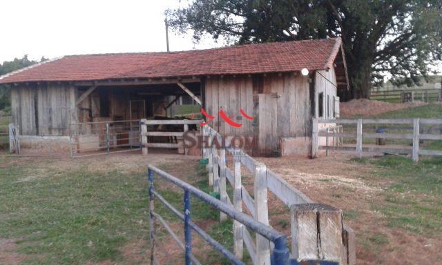 8051 | Sítio à venda em NÃO INFORMADO, ASTORGA - Foto 6