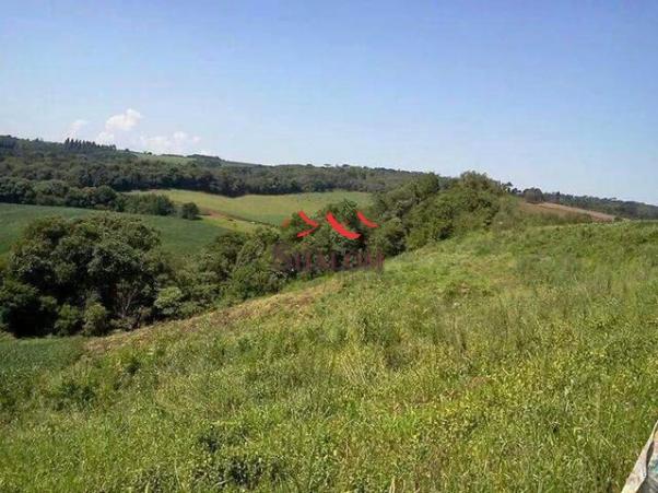 8051 | sítio à venda em não informado, pitanga - Foto 4