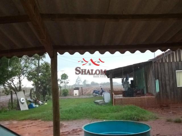 8051 | Sítio à venda em NÃO INFORMADO, ÂNGULO - Foto 2