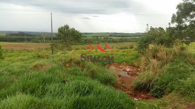 8051 | Terreno à venda em NÃO INFORMADO, NOVA ESPERANÇA - Foto 3