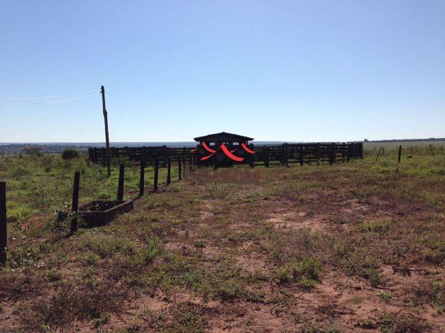 8051 | fazenda à venda em não informado, itiquira - Foto 4