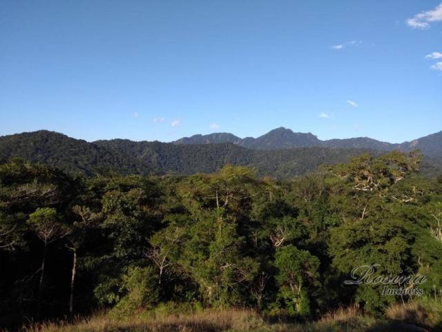 Chácara no sambaqui - Foto 13