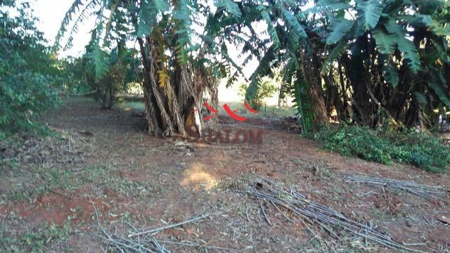 8051 | Sítio à venda em NÃO INFORMADO, IGUARAÇU - Foto 4