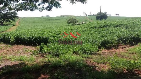 8051 | Sítio à venda em NÃO INFORMADO, SANTO INÁCIO - Foto 7
