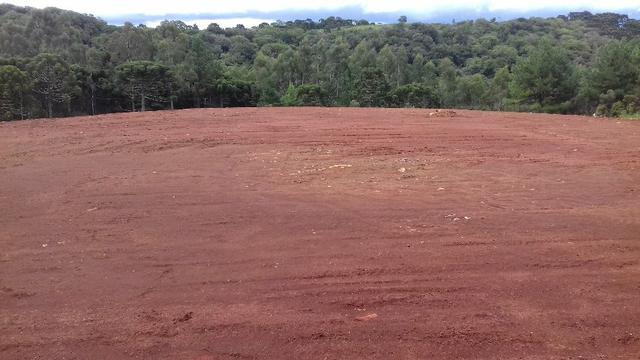 Propriedade Rural em São Francisco de Paula/RS - Rincão dos Kroeff - Foto 15