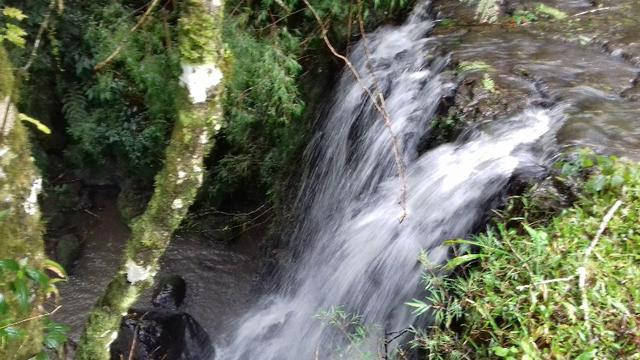 Propriedade Rural em São Francisco de Paula/RS - Rincão dos Kroeff - Foto 17