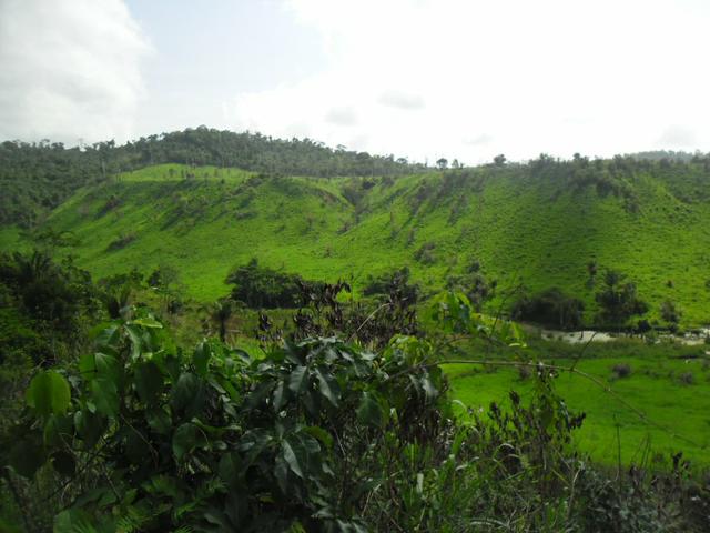 Imperdível vendo excelente Fazenda em Bom Jardim-Ma - Foto 3