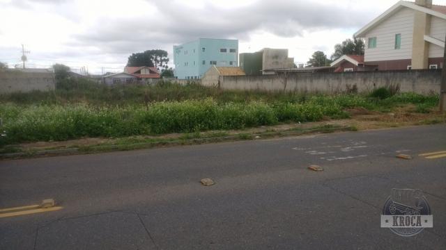 Terreno à venda com 0 dormitórios em Iguaçu, Fazenda rio grande cod:1893 - Foto 4