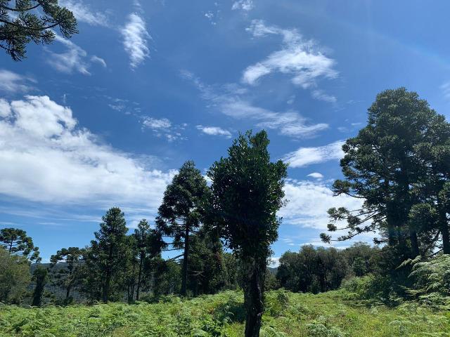 Venda de Chácaras em Urubici - Foto 6