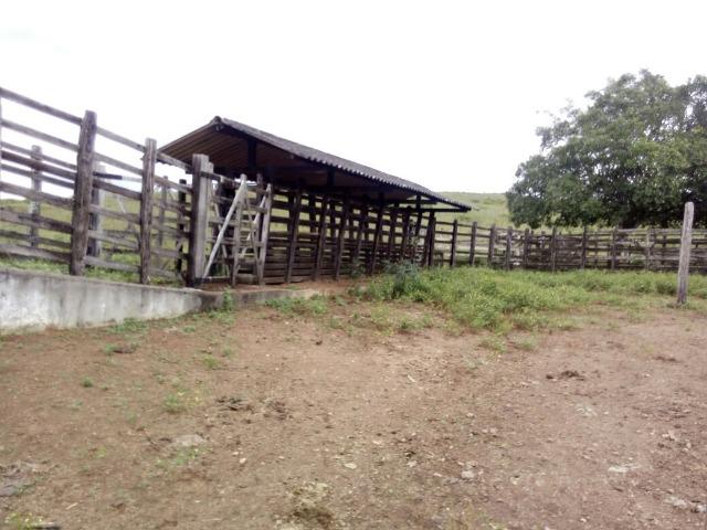 Propriedade de 786 hectares, entre Passira e Cumaru-PE - Foto 14