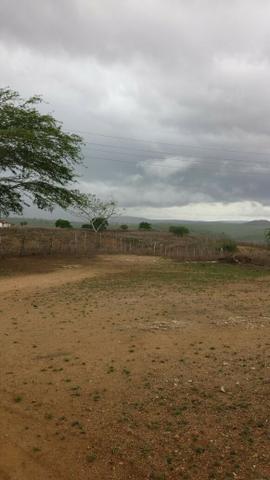 Propriedade de 786 hectares, entre Passira e Cumaru-PE - Foto 16