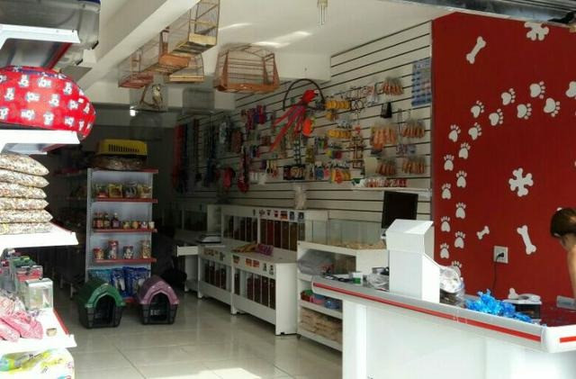 Móvel para pet shop e casa de ração - Foto 3