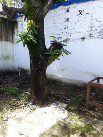 Vendo duas casas Em Itamaracá Bairro do Pilar - Foto 4