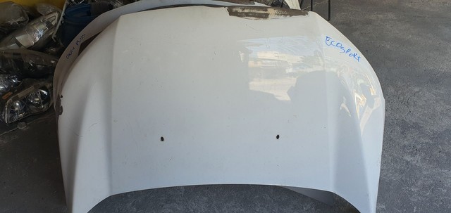 Capo da Ecosporte