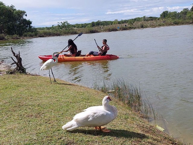 Casa para FDS e Festas e temporada - Foto 13