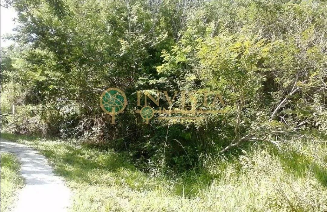 À venda | Terreno com 5.560 m² - Pantanal, em Florianópolis. - Foto 3