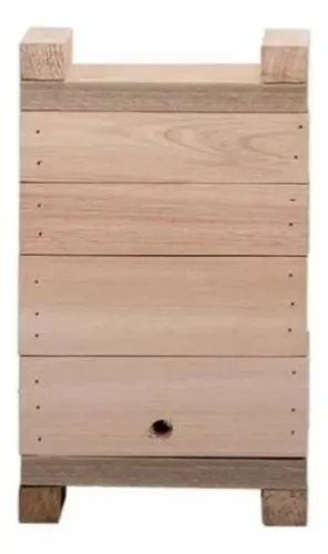 Caixa De Abelha Sem Ferrão Jataí Asf Modelo Inpa Eucalipto Rosa 12x12 - Foto 2