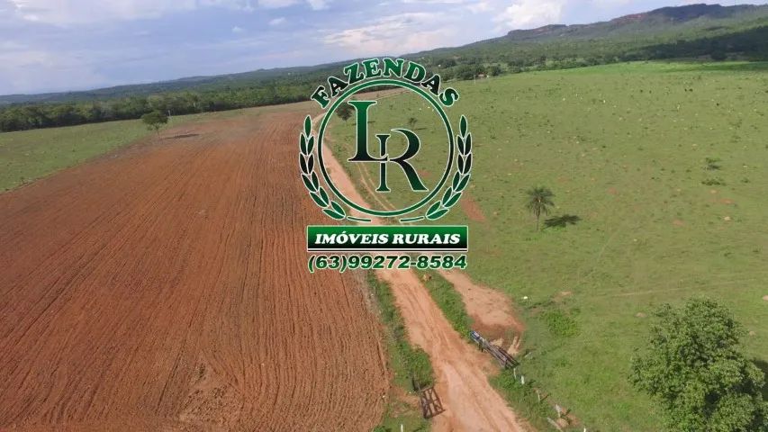 Fazenda/Chácara 31 Alqueires - Foto 3