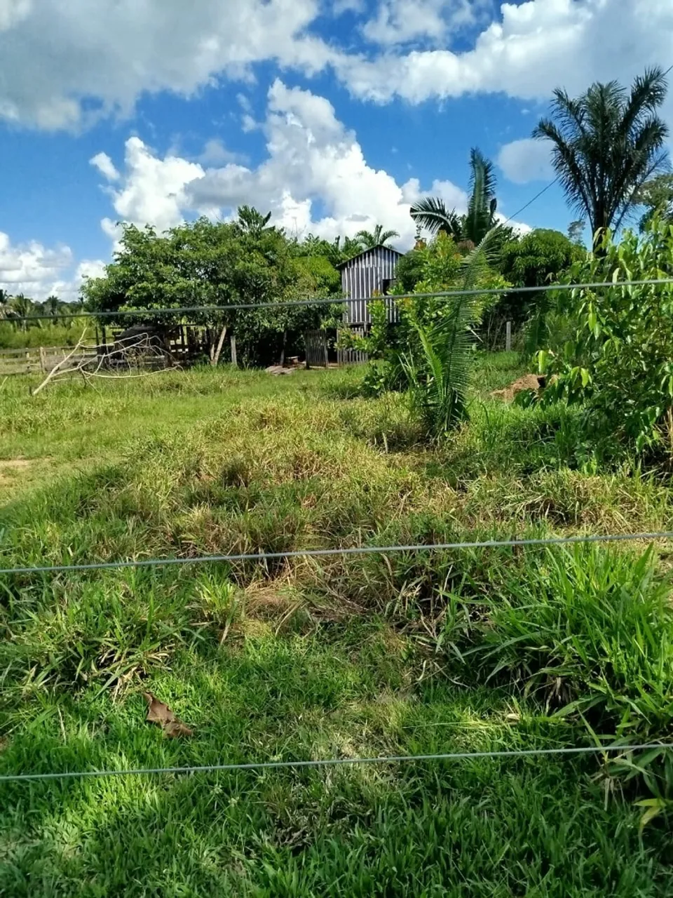 Sítio km 33 sentido Humaitá