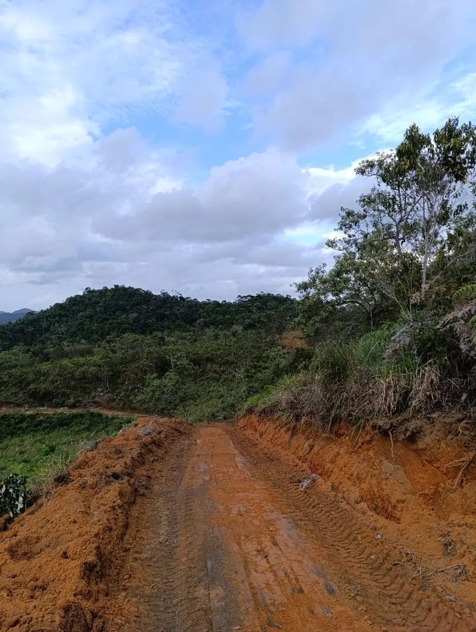 Vendo 5.000m² parcelado.