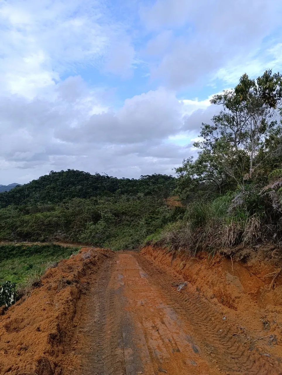 Vendo 5.000m² parcelado.
