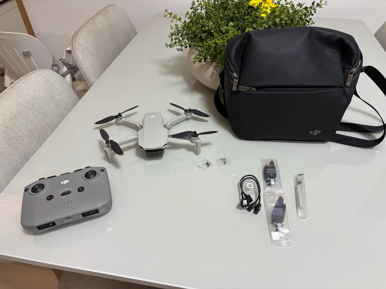 Drone DJI mini 264313447958786120