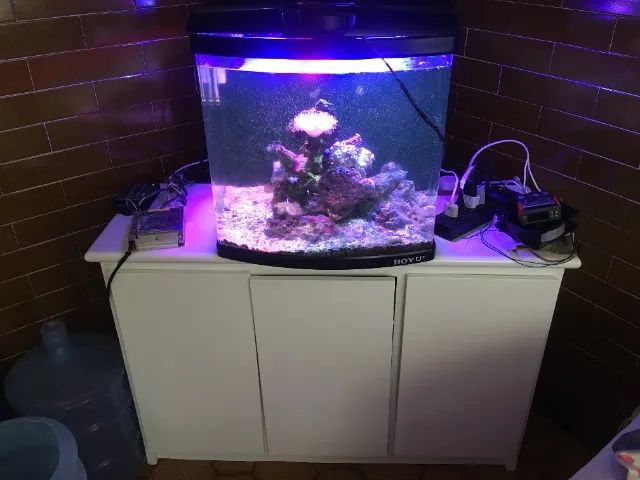 Aquário BOYU 80L completo - Foto 2