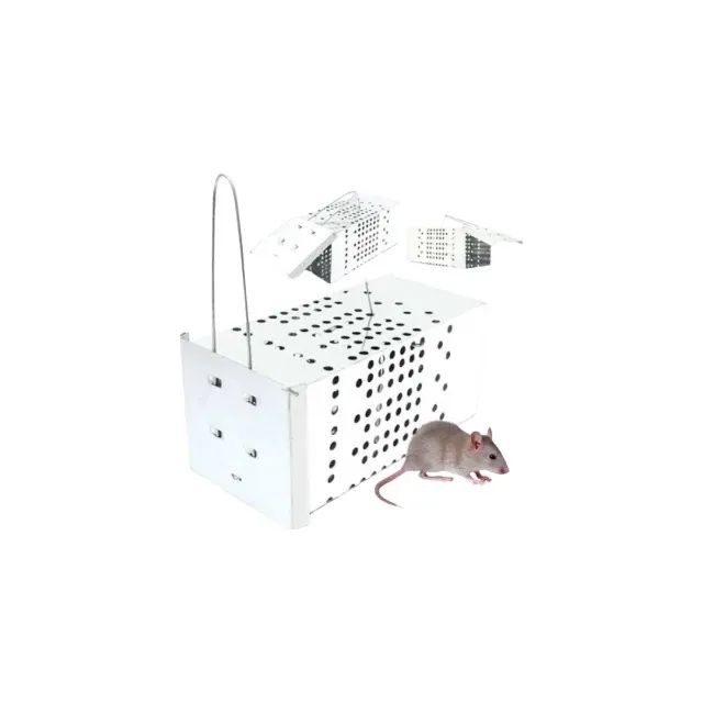 Coletor Transparente Reutilizável para Ratos - Contenção Segura e Ventilada  - Foto 3
