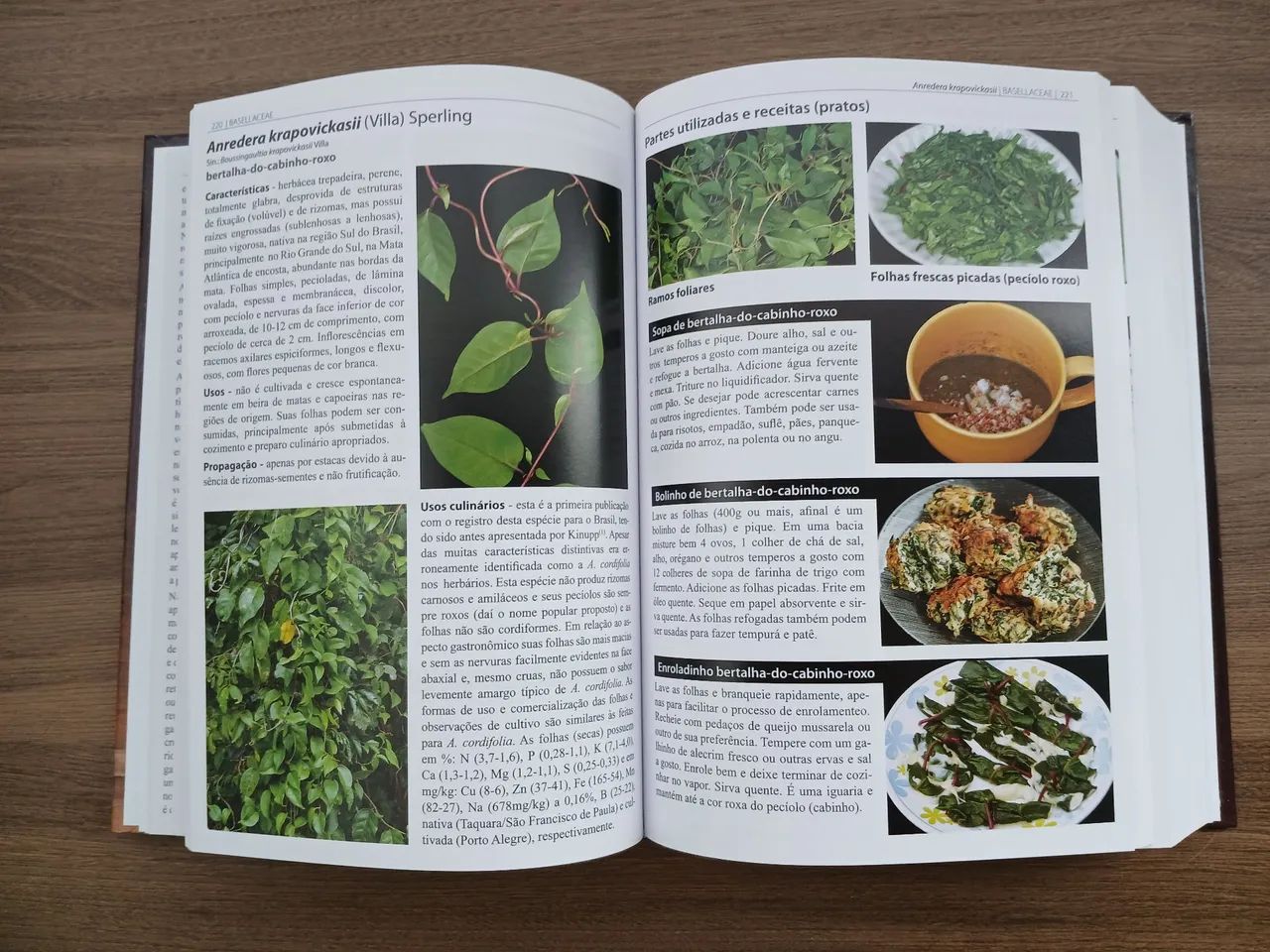 Plantas Alimentícias Não Convencionais (PANC) no Brasil - Foto 2