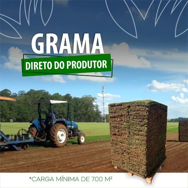 Grama Esmeralda Batatais São Carlos