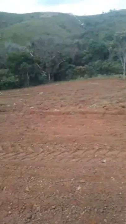 Terreno amplo com área verde - Foto 4