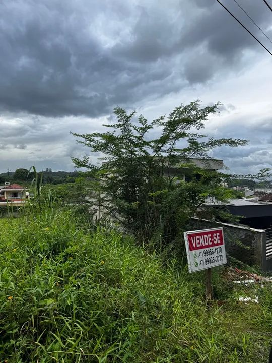 Otimo Terreno no profipo - Foto 2