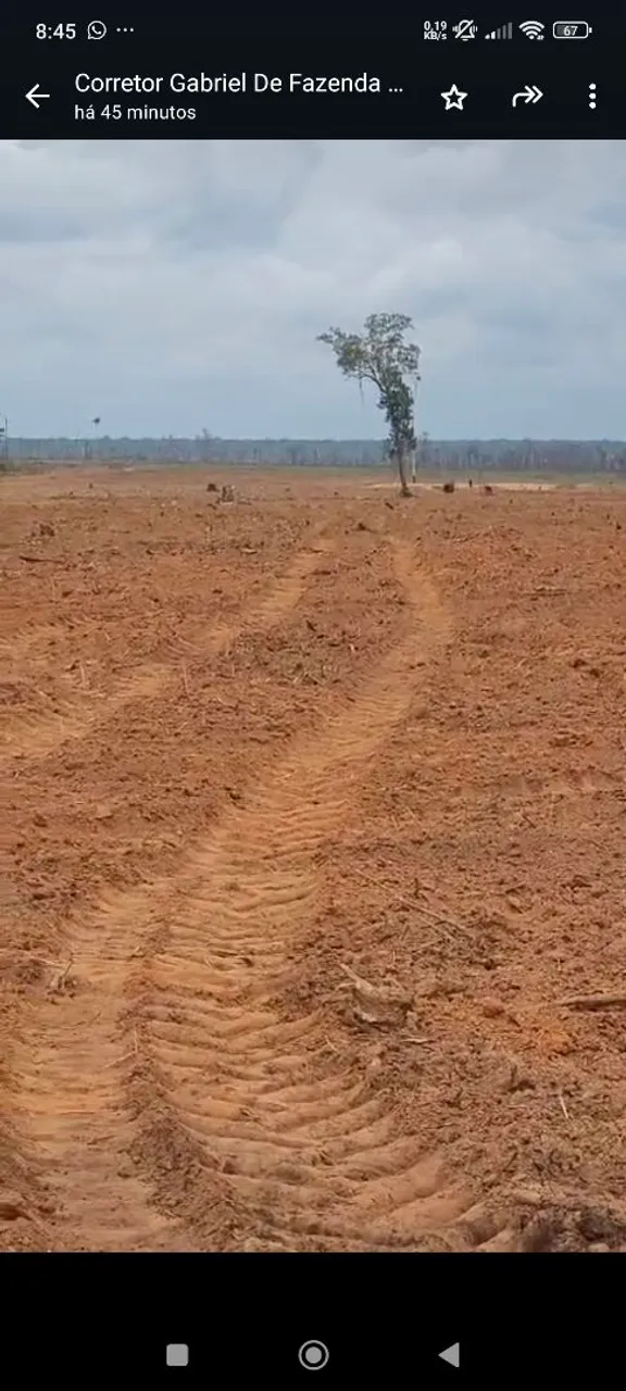 Fazenda arrendamento 2300hec em itanhangá MT. 2 anos carência