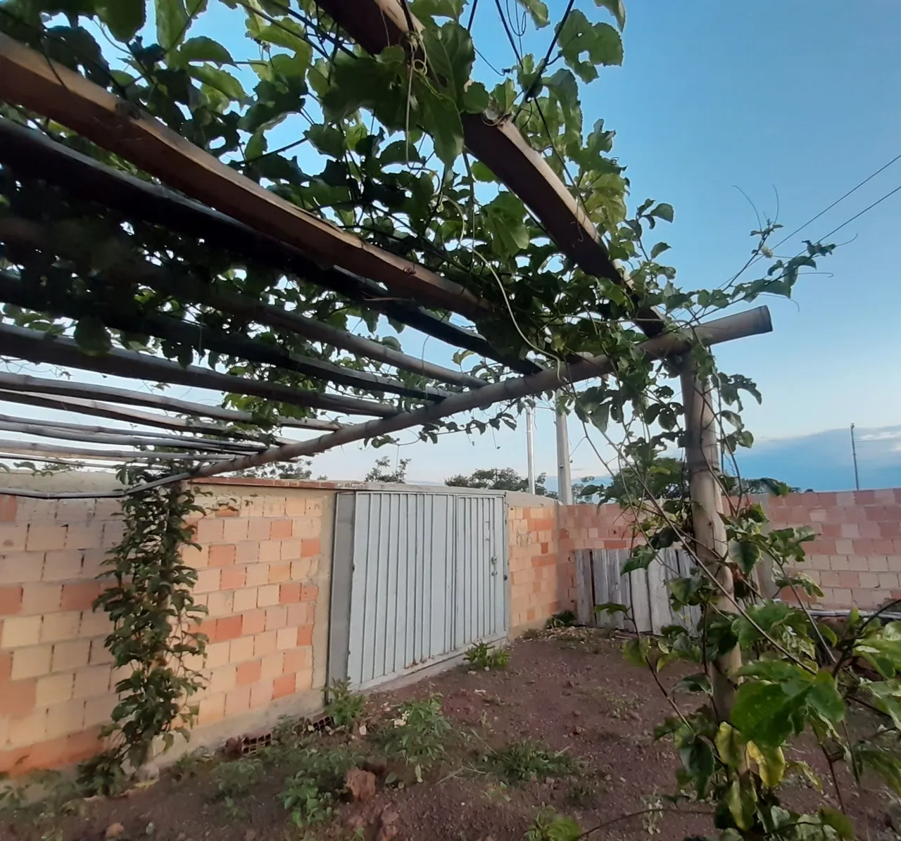 VENDO LOTE MURADO COM BARRACO