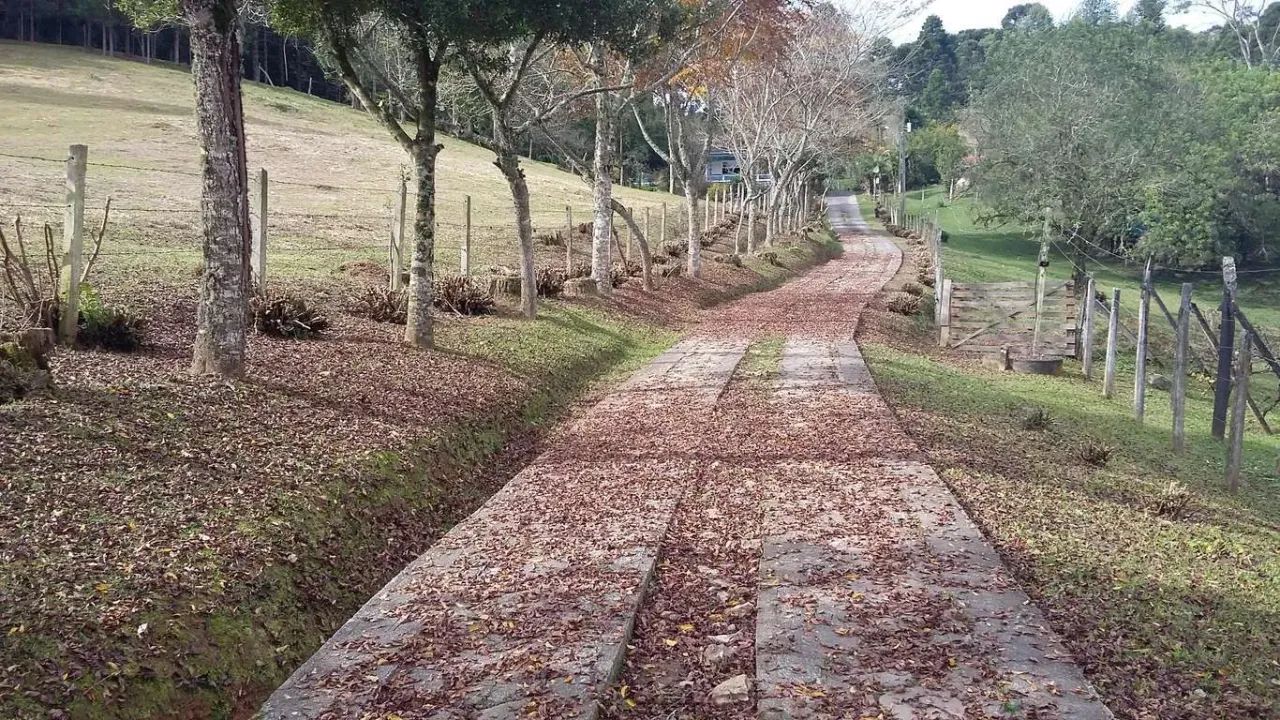 Chácara em Rua Boi Carreiro - Itaqui de Cima - Campo Largo/PR - Foto 5