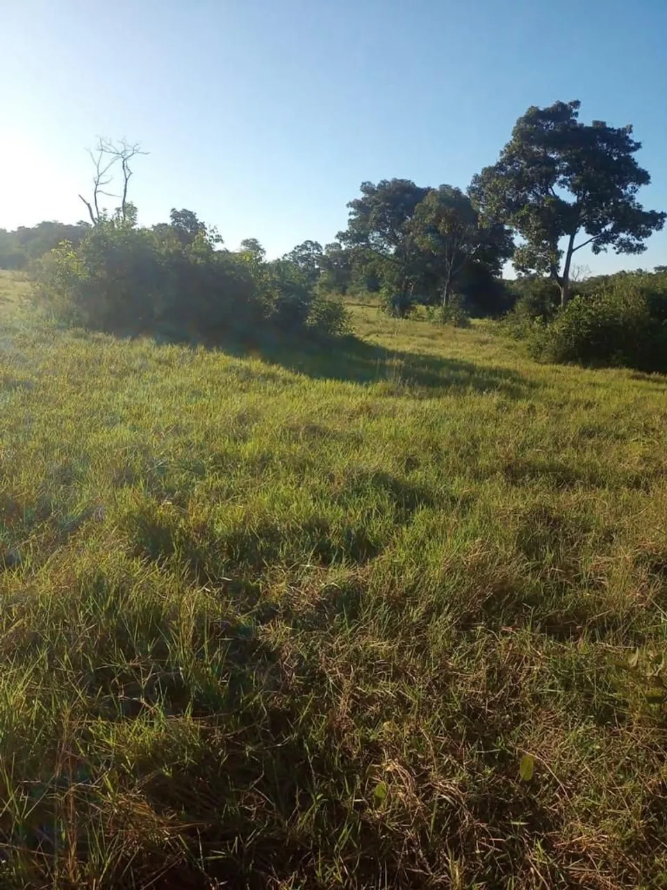 Sitio 22 hec beira do rio cuiaba escriturado