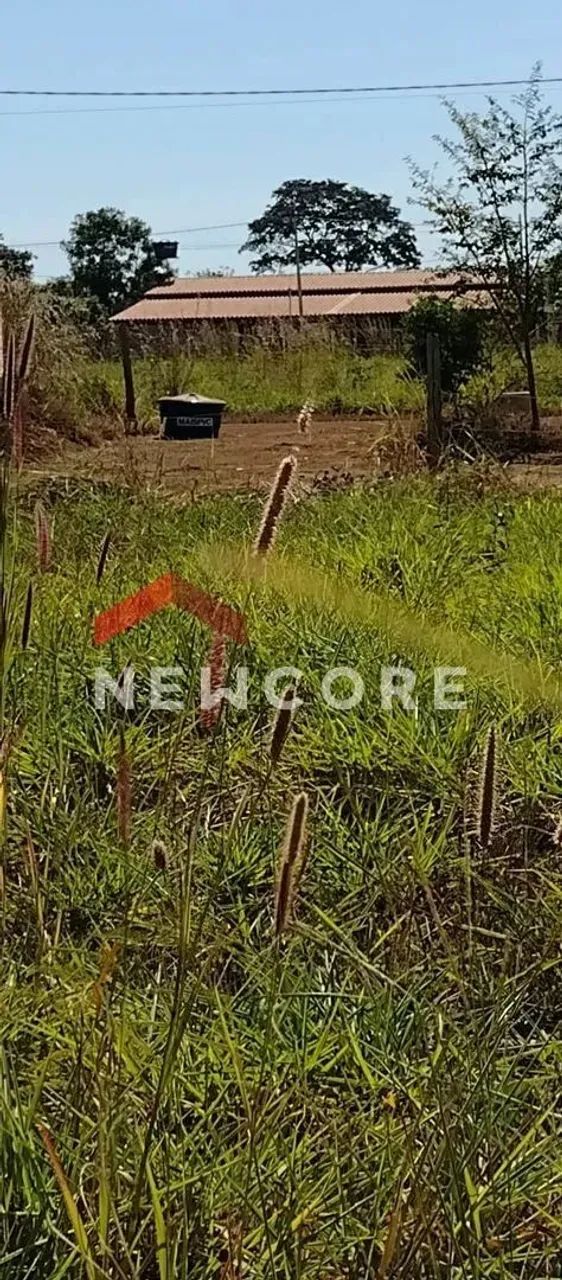 Lote em Aruanã - Setor Central - Aruanã/GO - Foto 11