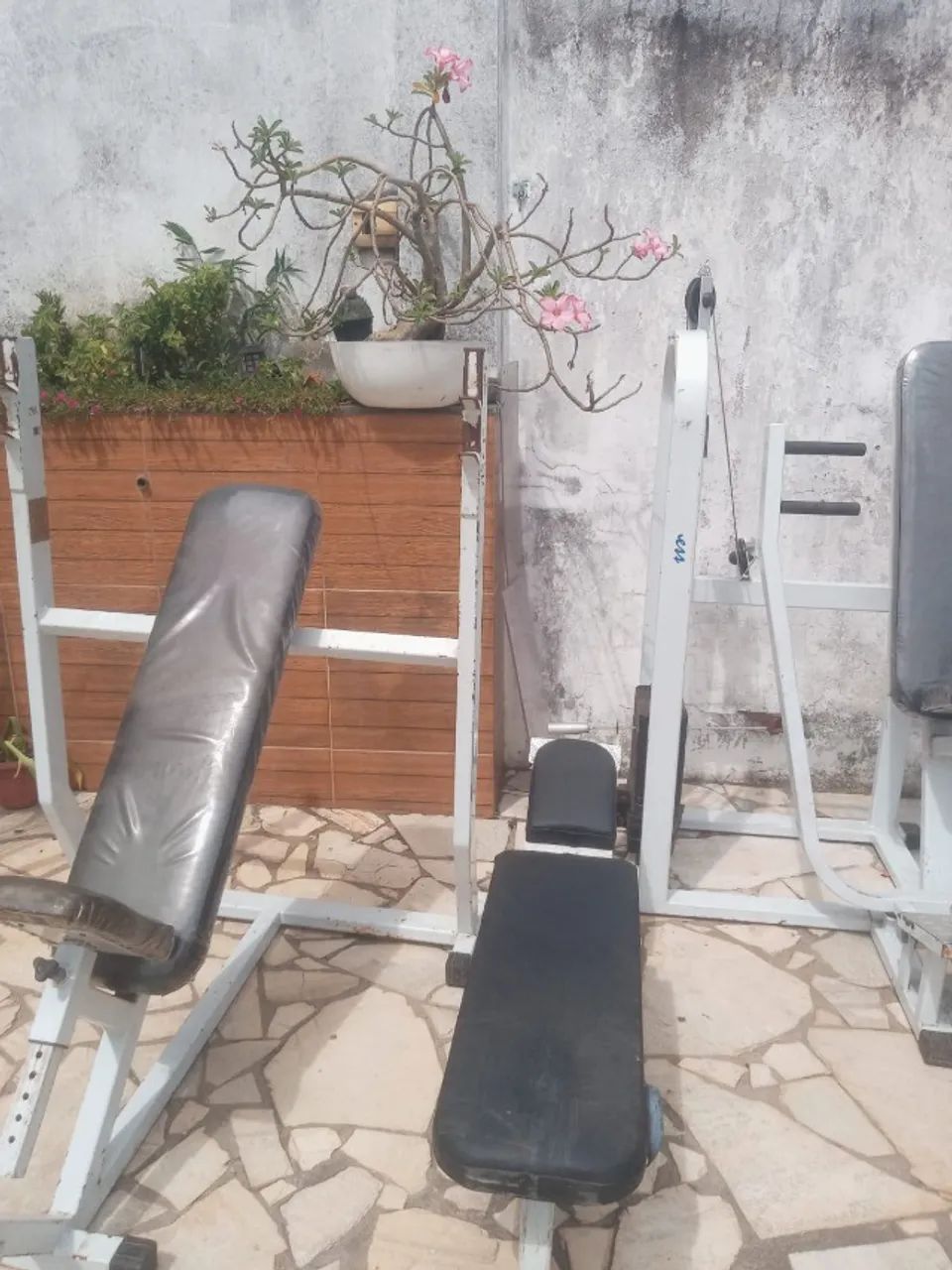 3 supinos inclinado, sentado e de desenvolvimento. - Foto 2
