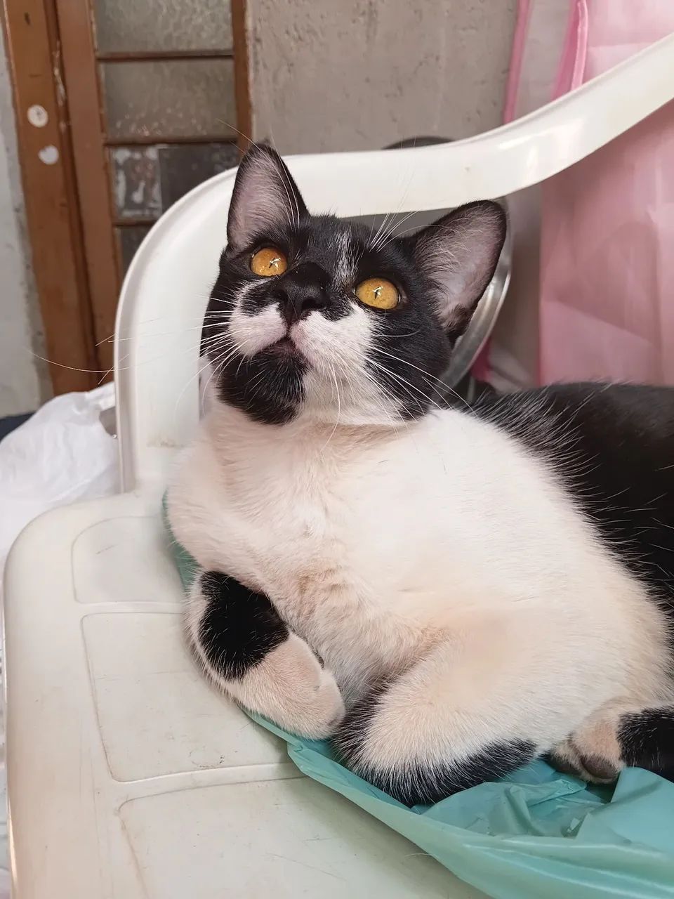 Doação 