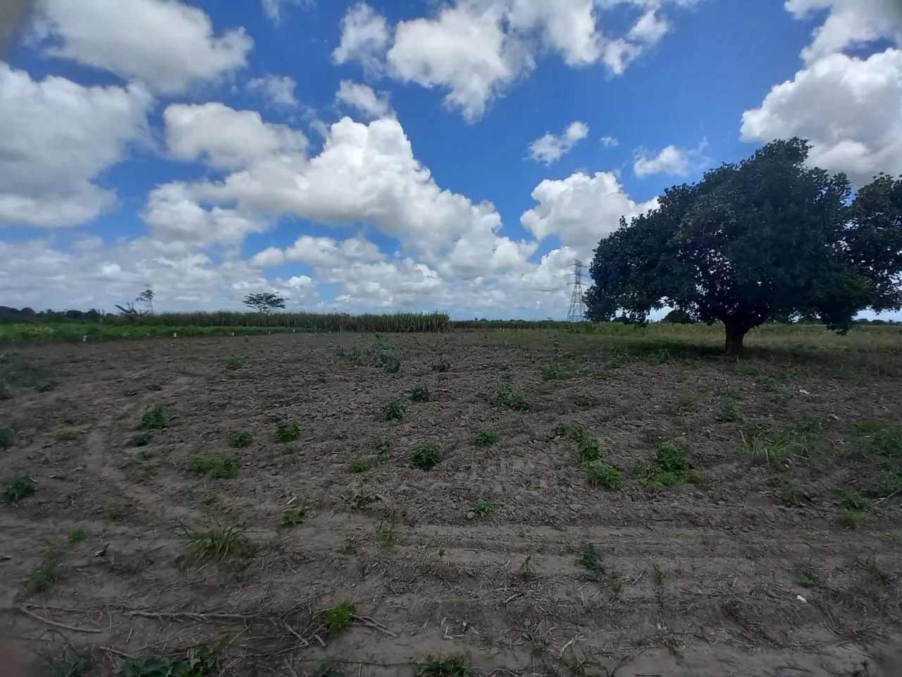 Vendo Terreno plano, maravilhoso, pronto para construir sua casa de campo - Foto 5