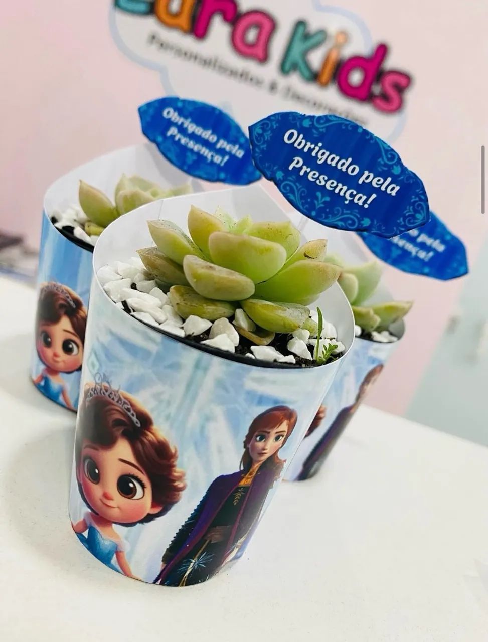 Suculenta personalizada  - Foto 3